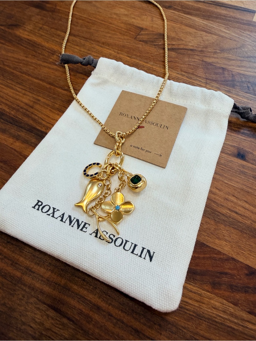 NEW - Roxanne Assoulin Gold Buona Fortuna Necklace